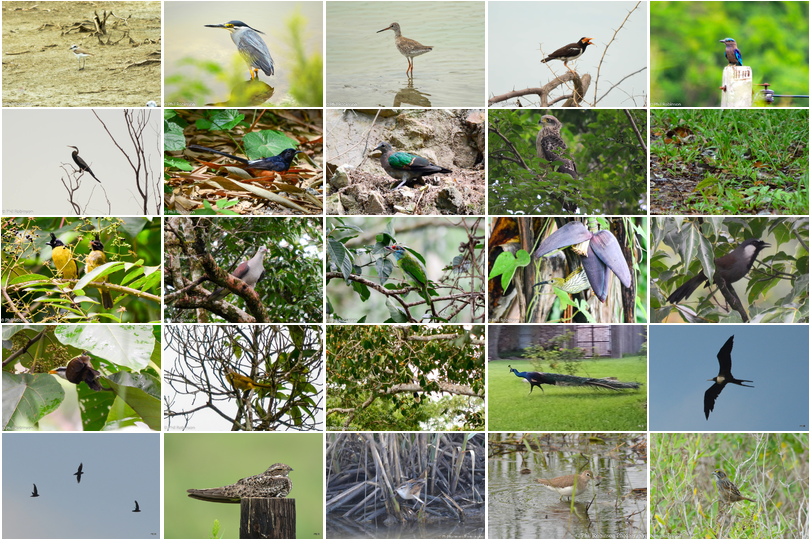 Image map